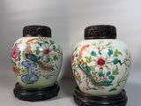 pair of chinese vases with painted flowers and birds on them
