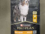 un sac de croquettes « Prop Plan » posé sur une table