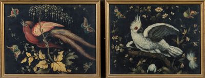deux tableaux encadrés représentant des oiseaux et des fleurs sur fond noir