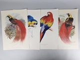 trois oiseaux de couleurs différentes sont perchés les uns sur les autres