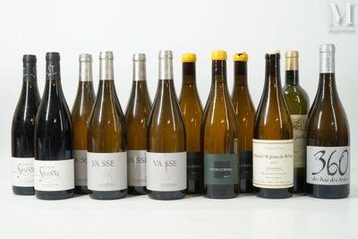 plusieurs bouteilles de vin sont alignées sur une surface blanche
