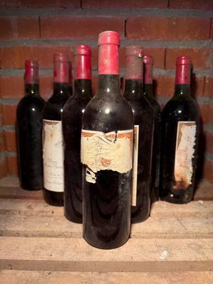 12 bouteilles Château MOUTON-BARONNE-PHILIPPE, 5° cru Pauill…