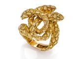 a close up of a gold ring with a snake on it
