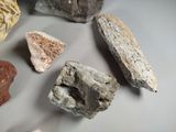 many different types of rocks on the table