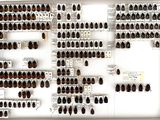 a lot of bugs that are on display in a box