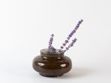 purple flowers in a brown vase on a white background
