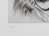 an image of a drawing of a horse ' s eye with long eyelashes