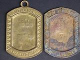 two gold medals on a black surface