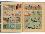Photo 6/17 du lot