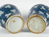 pair of blue and white vases with flowers on them on a white surface