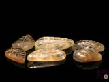 several pieces of carved glass sitting on top of a black surface