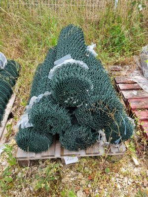 de nombreux types de plantes qui poussent au sol