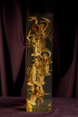 a glass vase with a skeleton in it on a purple cloth