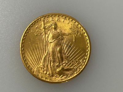 * Pièce en or de 20 dollars Liberty 1924. Poids : 33,41 g. Frais achet - Photo 1