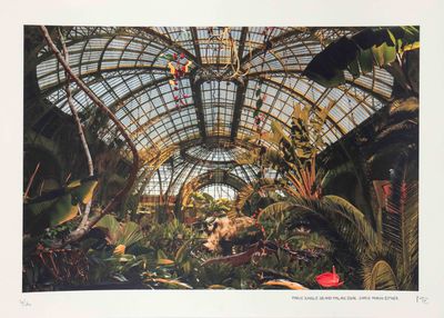 une photo d'une photo d'une serre contenant des plantes