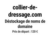 une photo en noir et blanc d'un chat assis sur un lit