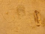 a picture of a piece of paper on the ground