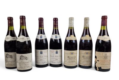 six bouteilles de vin sont alignées sur une surface blanche