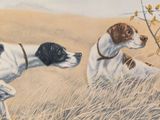 two dogs that are standing in the tall grass