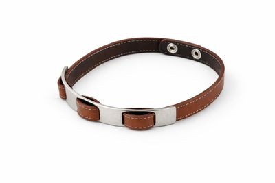 un gros plan sur un collier de chien en cuir marron muni d'une boucle métallique