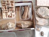 a box full of different types of food in it