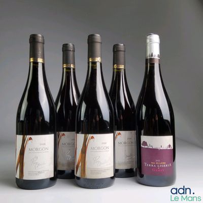 six bottles of wine are lined up in a row on a table