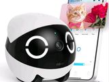 un chat assis à côté d'un téléphone portable