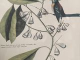 a picture of a bird sitting on a branch of a plant