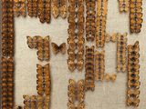 a lot of butterflies that are hanging on the wall