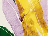 peinture abstraite représentant une banane jaune sur un fond violet et vert