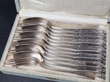 six spoons in a box on a table