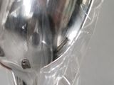 a person holding a silver spoon in a plastic bag