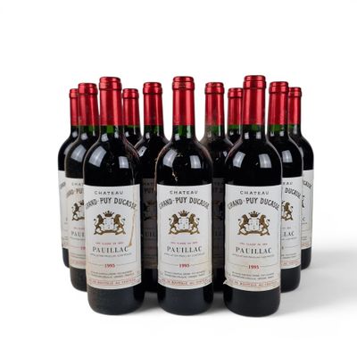 six bottles of red wine lined up in a row on a white surface