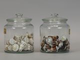 two glass jars with shells inside of them on a table
