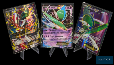 Trois types différents de cartes Pokémon sont représentés sur un fond noir