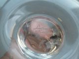 a glass of water with a small amount of liquid in it