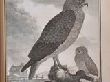 two birds that are sitting on top of a book