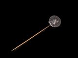 a close up of a stick with a coin on it