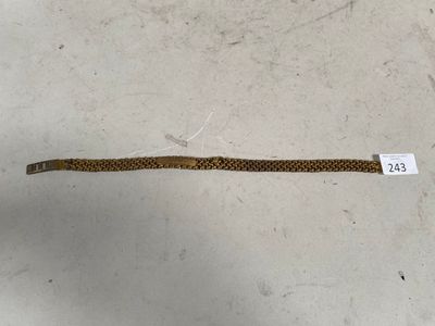 un serpent allongé sur le sol