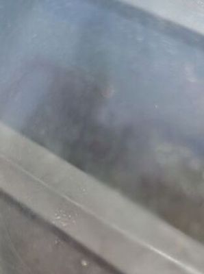 a close up view of a window with a reflection of a person
