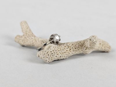 a close up of a silver ring on a piece of coral