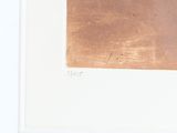 Photo 2/3 du lot