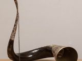 a horn with a chain hanging from it on a table