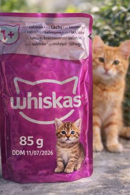 Lot d'environ 80 sachets de whiskas chat saumon de 85 gr DDM 11/07/202 - Photo 1