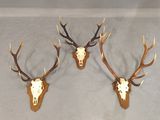 three deer heads with antlers mounted on the wall