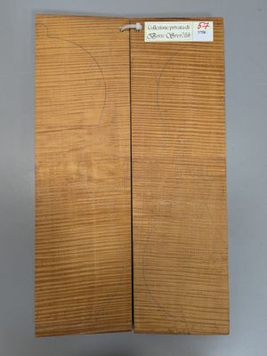 Fond en deux parties en érable pour violon, ~39,5cm