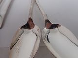 two silver spoons sitting next to each other on a table