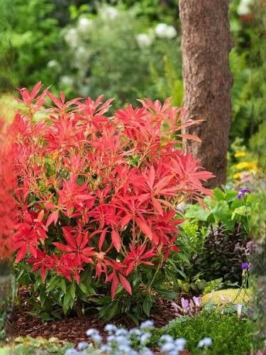 Destockage & Invendus