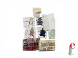 several pieces of paper with pictures of people on them on a white surface