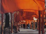 de nombreux tissus orange recouvrant les allées d'un parc